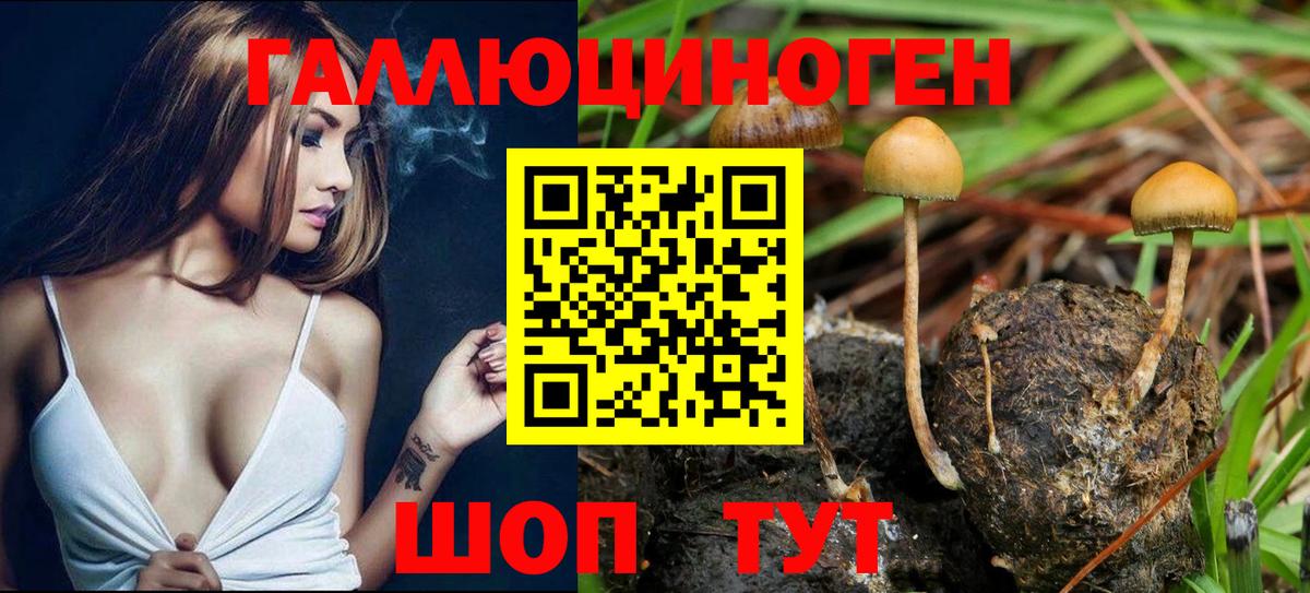 Татарск  Каннабис  Меф кристаллы  Вход с VPN  COCAIN  ГАШИШ  ГАШИШ 