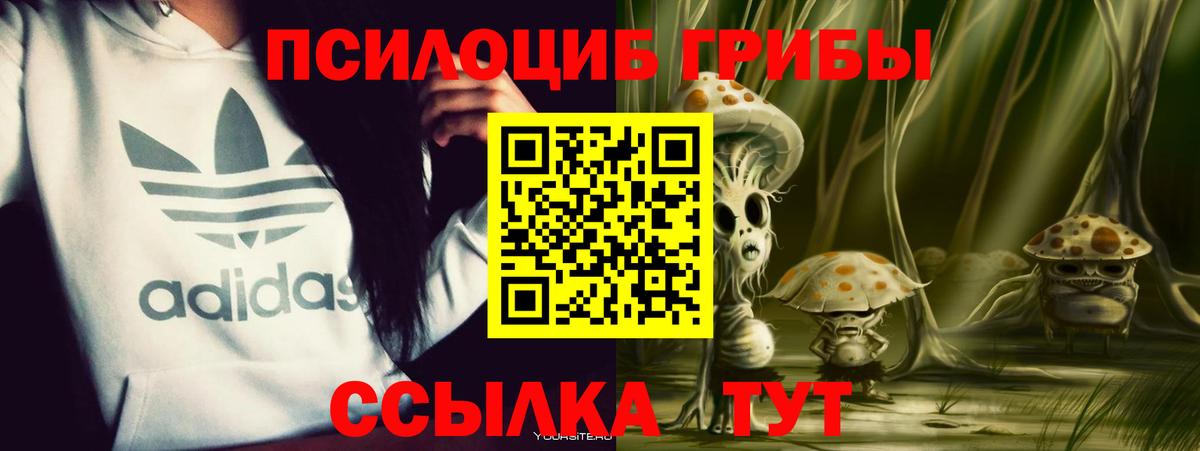 Татарск  Псилоцибиновые грибы Psilocybe  Псилоцибиновые грибы ЛСД  Вход с VPN 